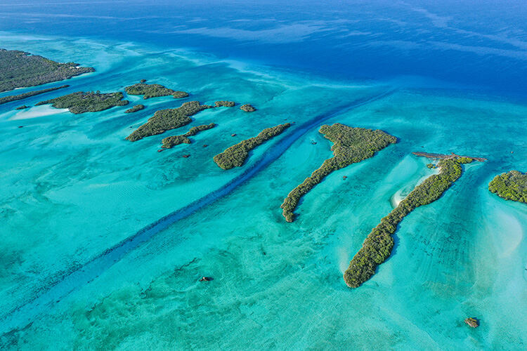 View of one of the channels that connect the lagoon and outer reef at Aldabra atoll, a route for coral larvae to reach the open ocean.