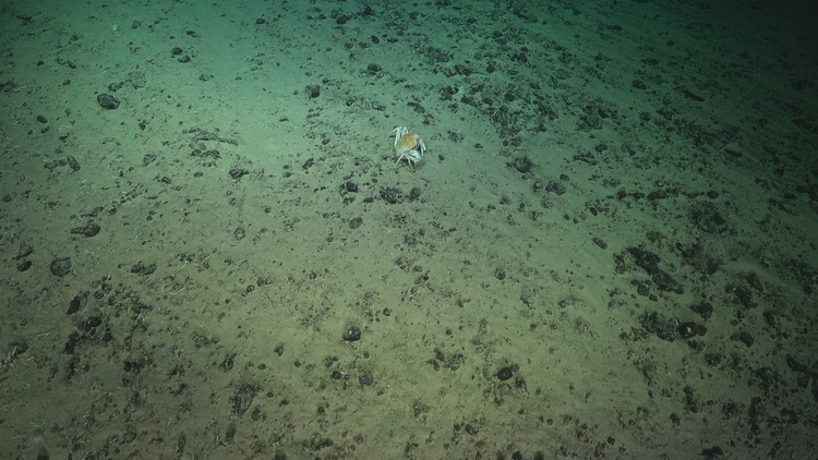 Sandy plain displaying linear drag marks