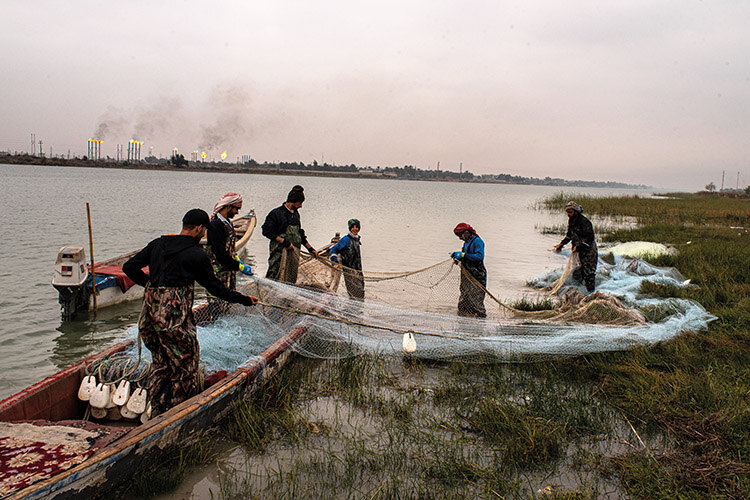 A group of fishers from Qarmat Ali collect their nets early in the morning on the Shatt al-Arab. They fish in this area every day, selling their catch for 5,000 Iraqi dinars a kilo (£3). They complain that due to pollution and increasing salinity in the river they’re catching fewer and fewer fish, and many that they land are already dead