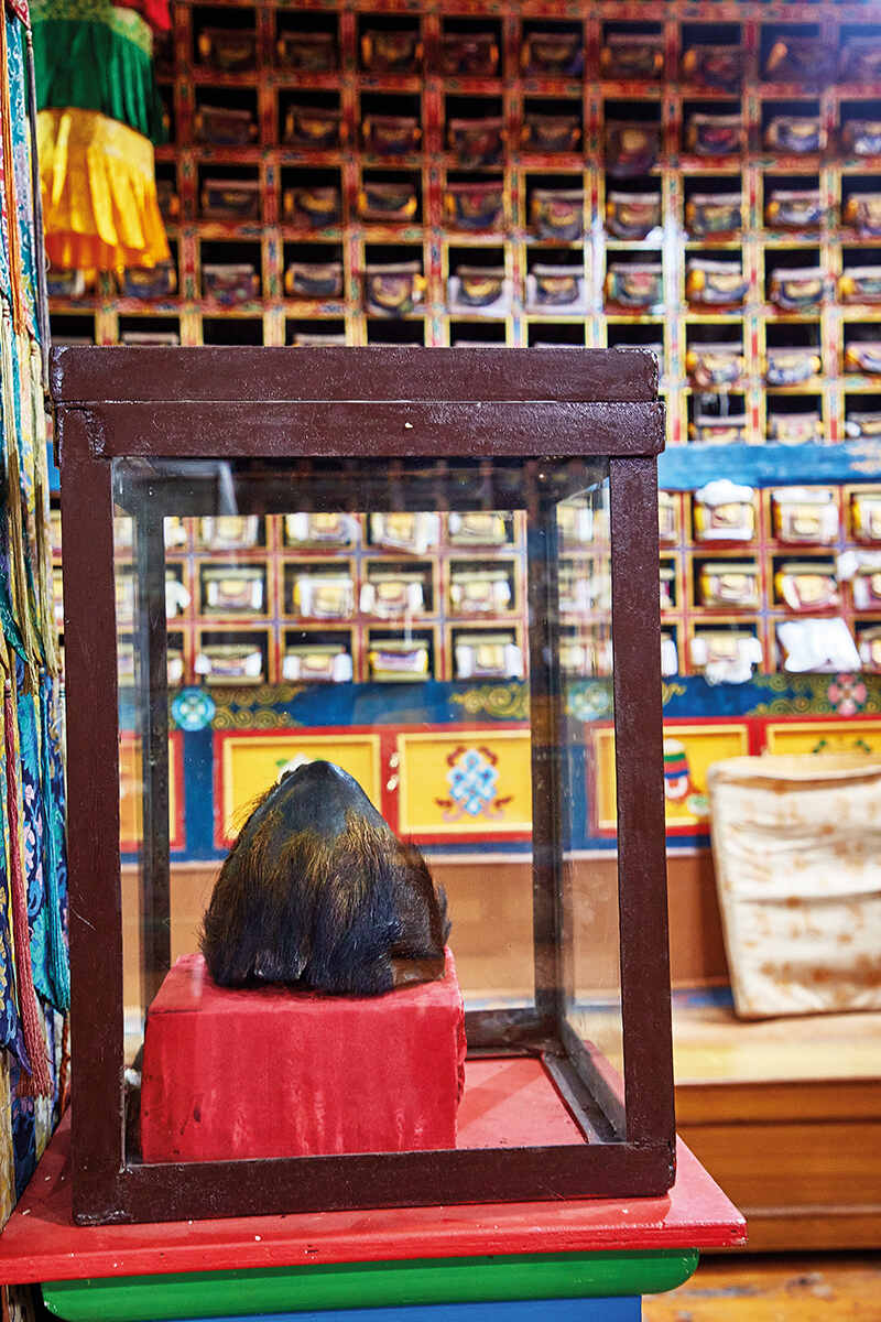 The 600-year-old remains of Lama Sange Dorje’s ‘assistant’ in the monastry in the village of Pangboche in Nepal