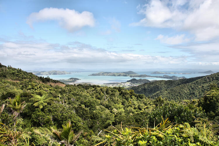 Aerial view from a temperate rainforest hill towards islands of Coromandel Peninsula.