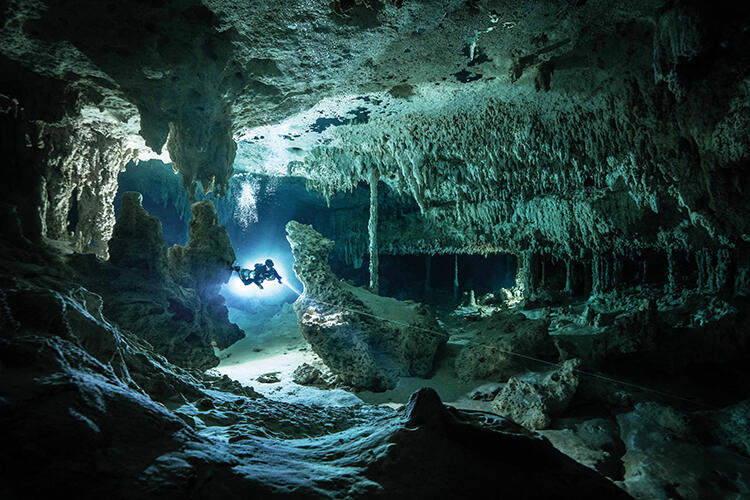 There are more than 10,000 cenotes dotted across the Yucatán Peninsula, forming a vast interconnected freshwater aquifer. Some are little more than small wells, others are doorways into spectacular limestone cathedrals filled with a growth of stalactites and stalagmites formed over millions of years. Here, a cave diver explores La Concha Cenote, part of the Sac Actun-Dos Ojos system