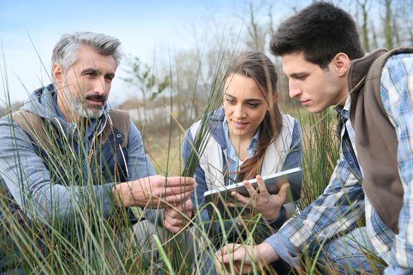 Students in the field on a work experience