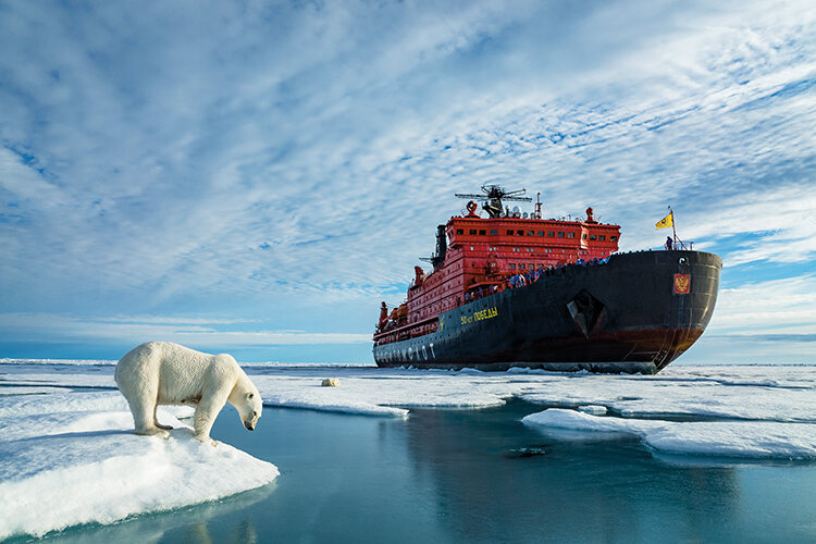 Dmitry Kokh, highly commended, Marine Conservation. Polar bears and humans exist in two different worlds. Those two worlds continue to drift apart’