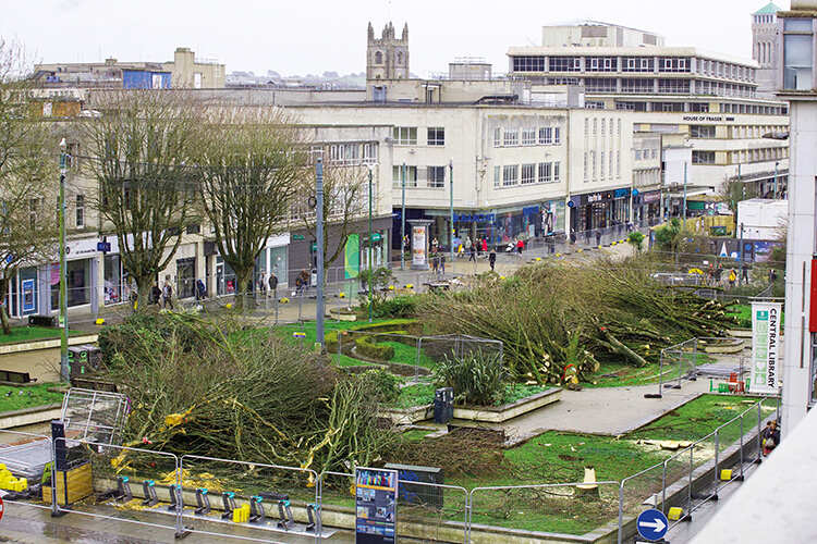 Plymouth Council cut down 110 trees in the city centre in March, sparking local protests