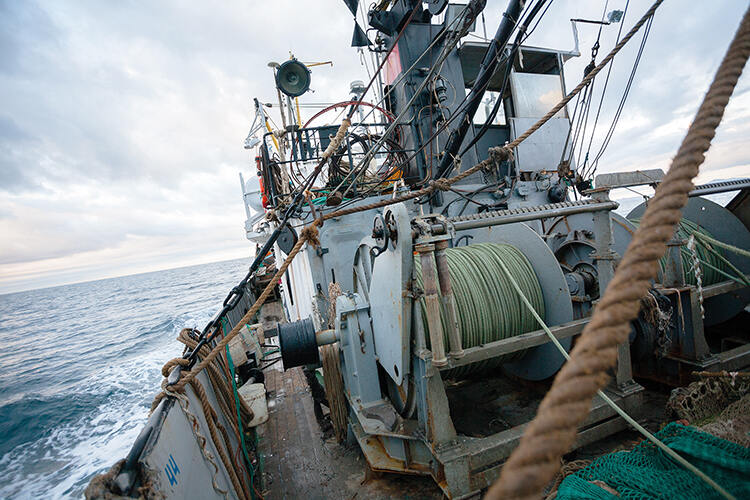 There are 5,541 UK-registered fishing vessels – down 14 per cent over the past ten years