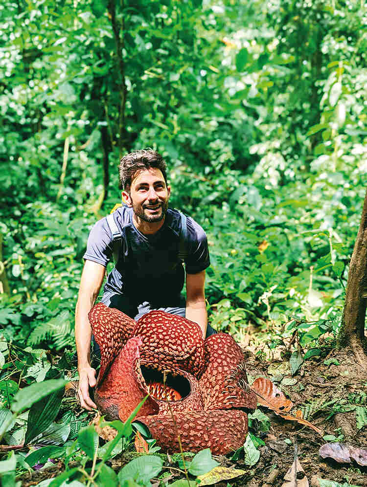 Thorogood finds the largest flower in the world, R. arnoldii, while trekking in the forests of Sumatra