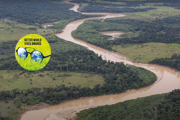 br carbon amazon rainforest better world video awards