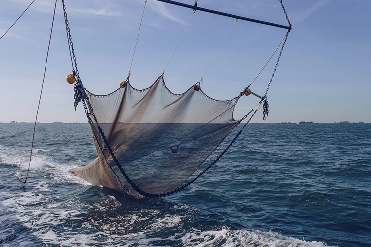 UK against trawling in protected seas in wake of Attenborough film