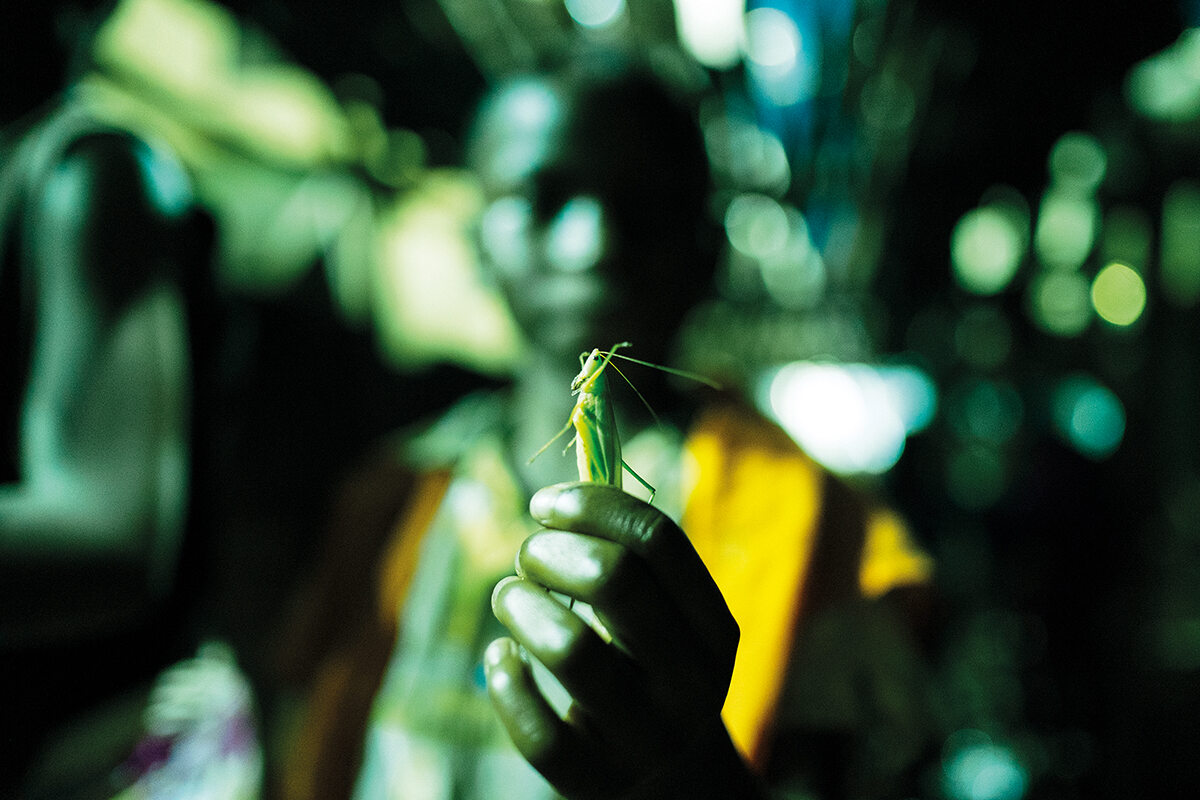 A man holds an east african longhorn grasshopper to the camera