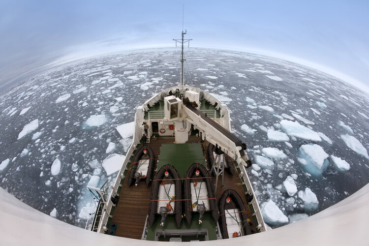 Expedition searching for new species in Arctic Ocean - Vimarsana News