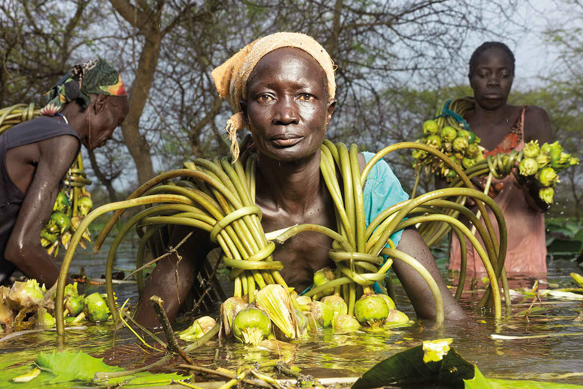 Bol Kek and two other women collecting water lilies for food