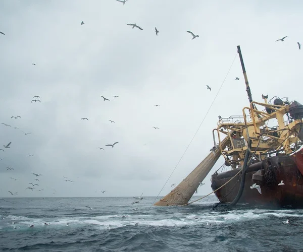 The Helen Mary super trawler fishes within the Central Fladen Marine Protected Area (MPA), east of Scotland.