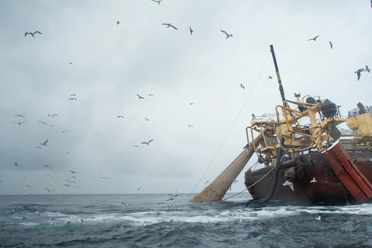 The Helen Mary super trawler fishes within the Central Fladen Marine Protected Area (MPA), east of Scotland.