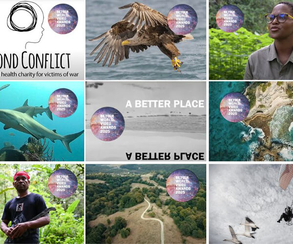Meet the Winners: Better World Video Awards 2025