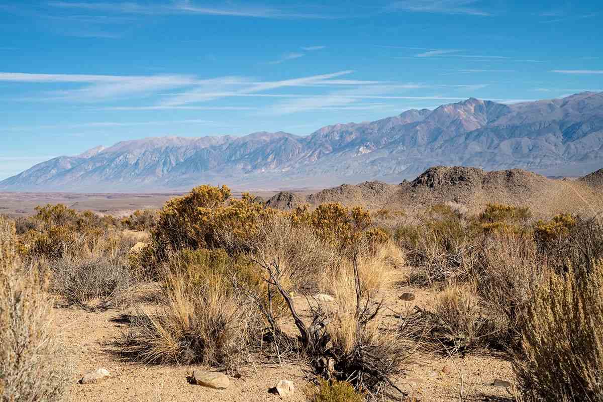 landscape of the Great Basin Desert Eastern Sierra Nevada mountains, California, USA