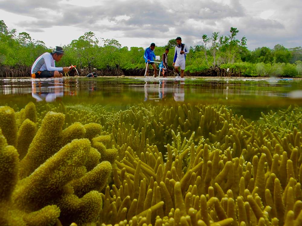 Young Mangrove photographer of the year 2022 winner