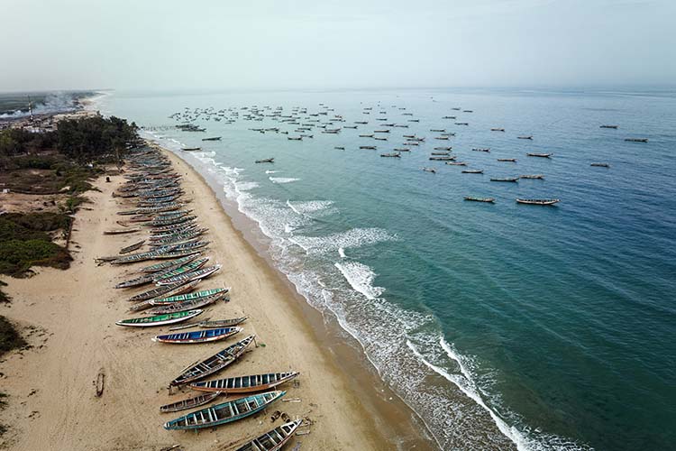 Is the tide turning on industrial fishing in West Africa?