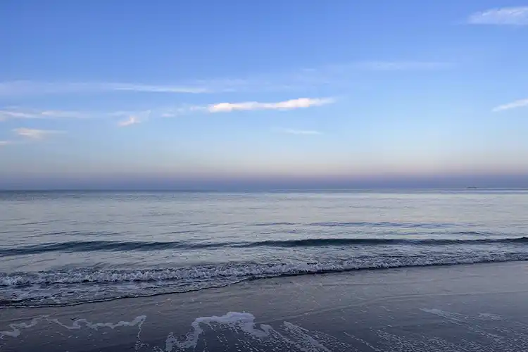 UK seas in hot water: the rising threat of marine heatwaves