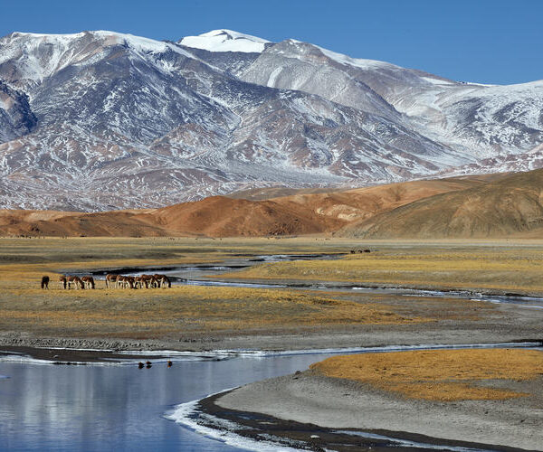 Ladakh