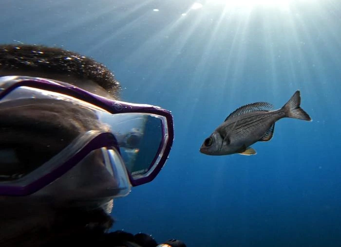 Study author, Maëlan Tomasek, with a “volunteer” in the experiment conducted in the Mediterranean Sea