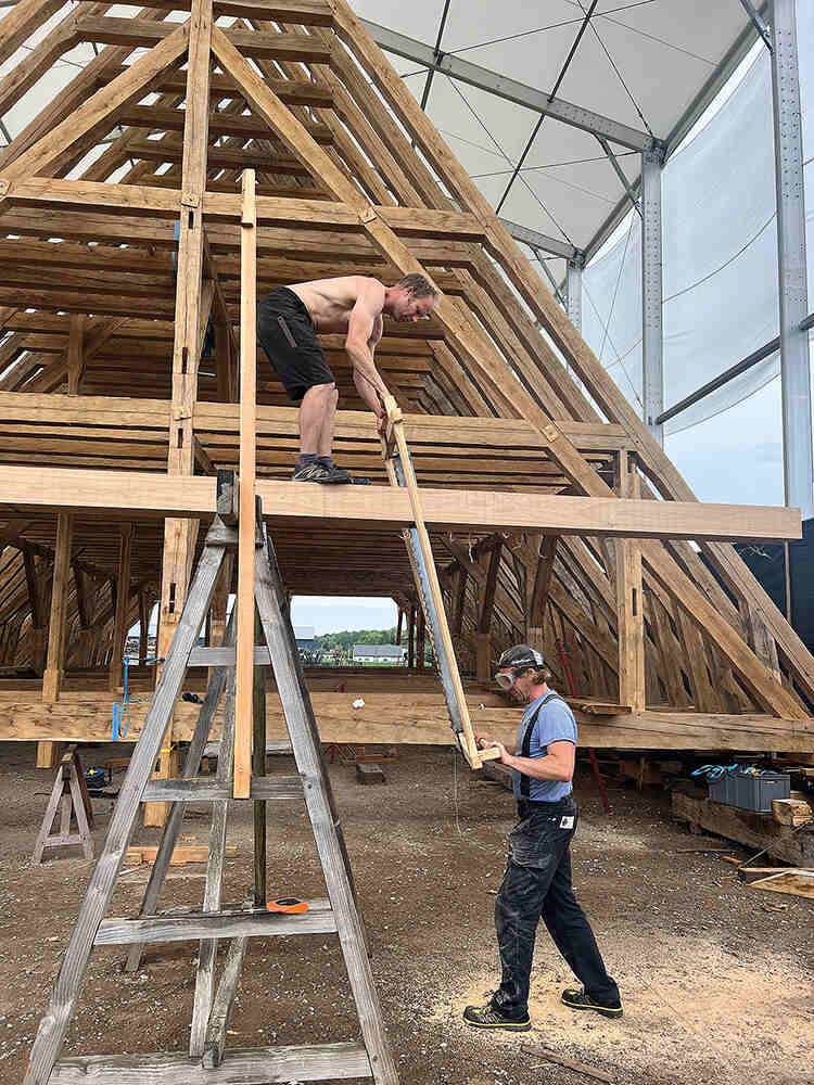 Mike Dennis (top) and Andreas Uus saw through a timber for notre dames frame