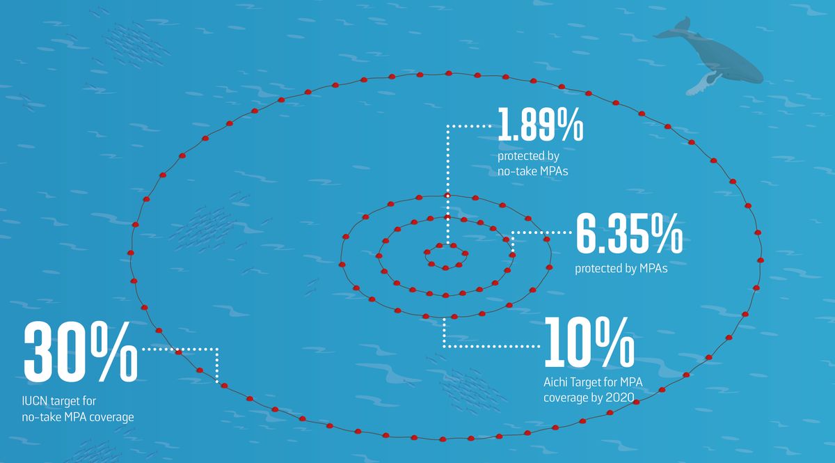 Graphic of MPA targets