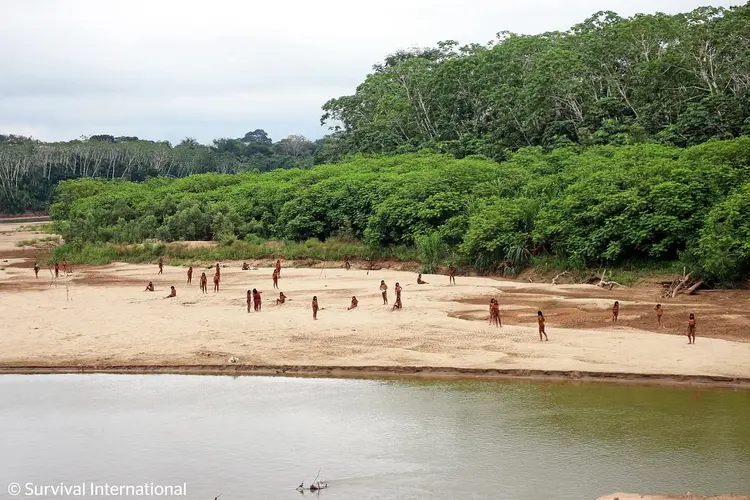 Uncontacted tribe Mashco Piro in Perus