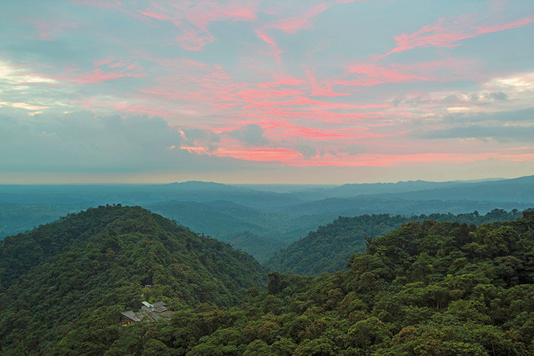 Mashpi Lodge sits in the heart of the cloud forest