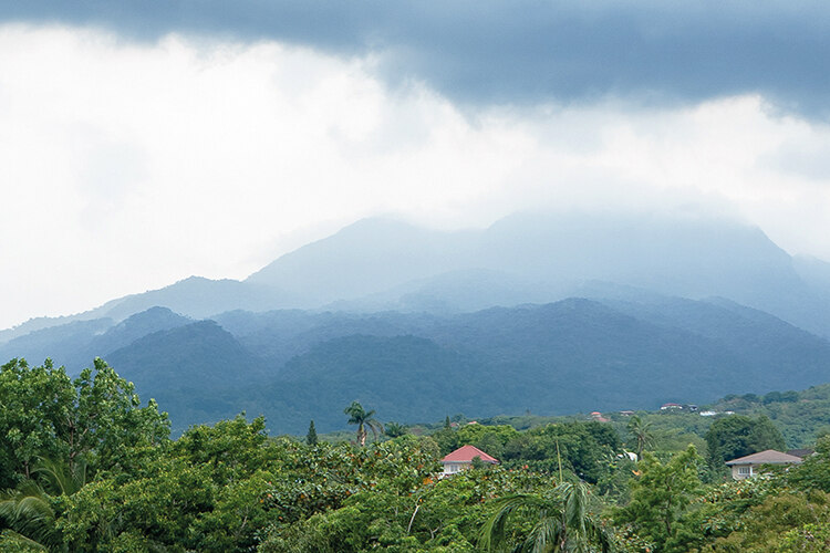 Mount Makiling in the Philippines, where Chris Thorogood is attempting to propagate a rafflesia plant