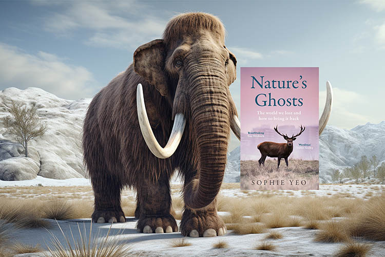 Mammoths are just one of the many extinct megafauna which helped form our landscapes