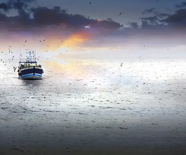 Fish or Famine – why the future of our oceans matters to everyone