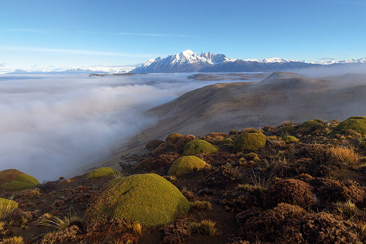 A view of Torres del Paine from the summit of the Condoreras ridge