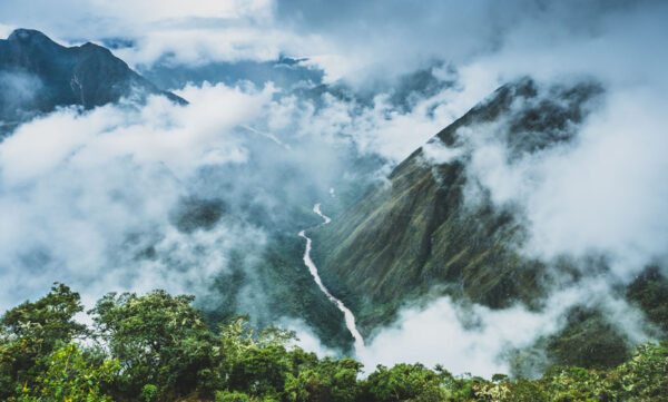 Geo Explainer: Cloud Forests - Geographical