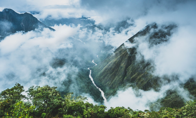 Cloud forest in peru