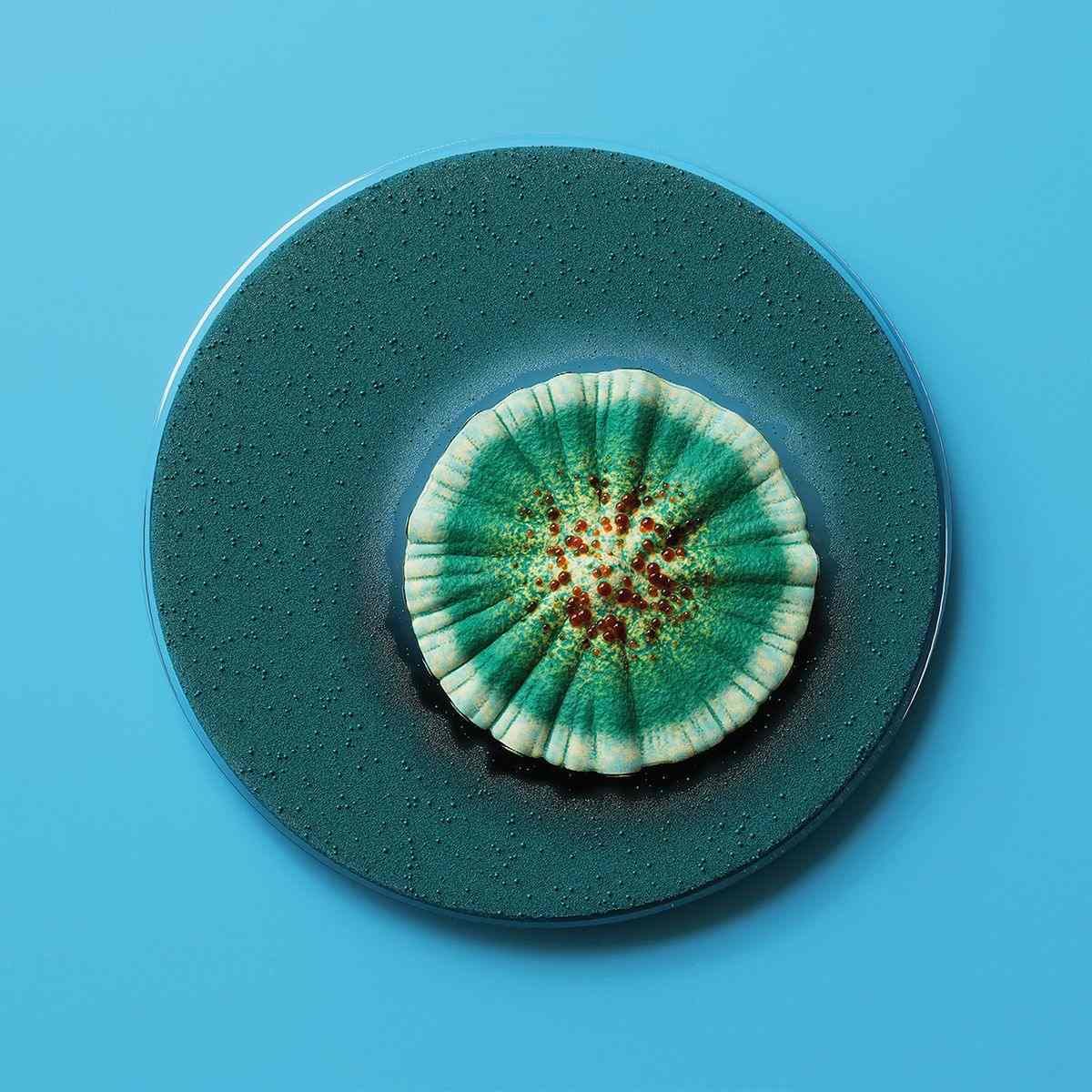 Petri dish of penicillin 