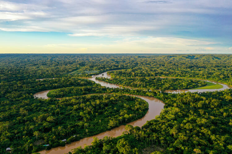 Lost city discovered in the Amazon