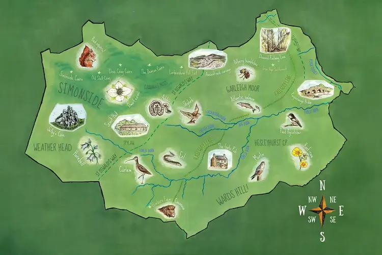 Illustrated map of Rothbury