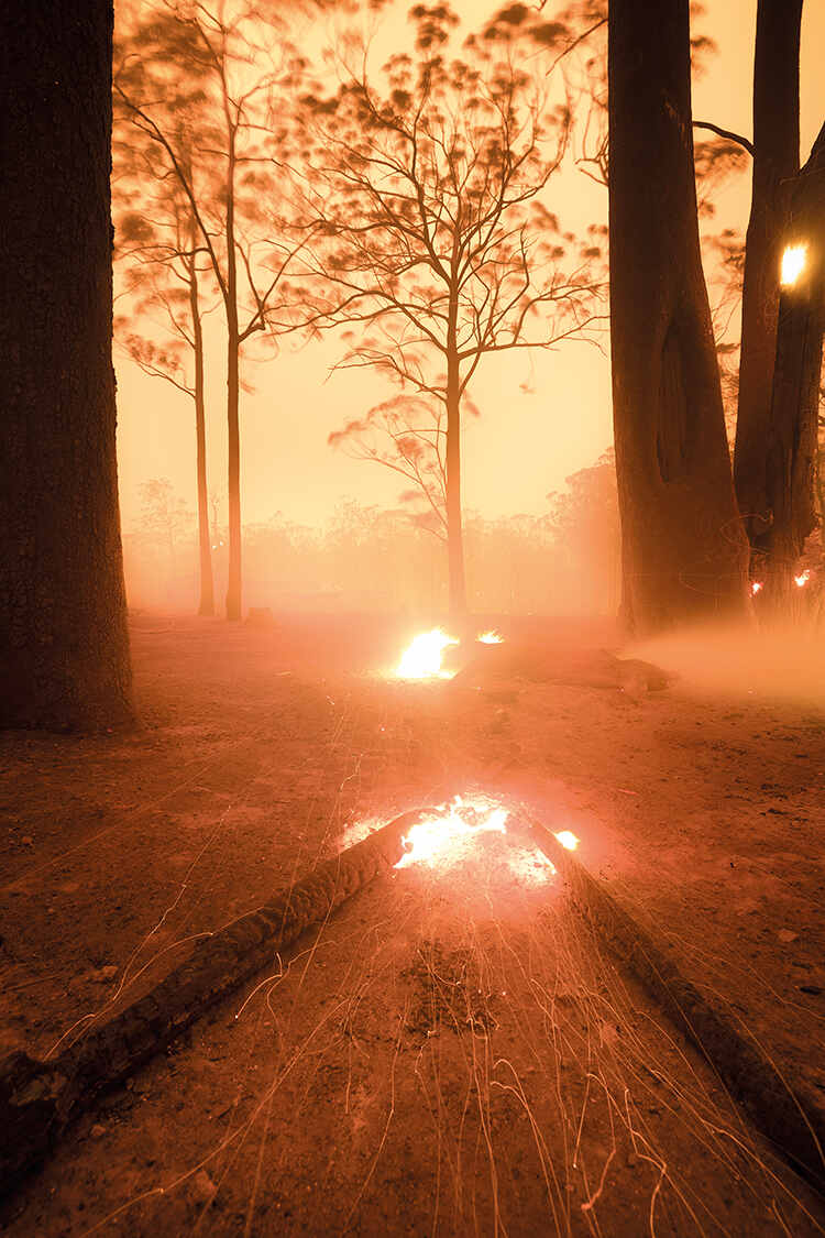 Overall winner: My Country Burns by Samuel Markham. ‘While protecting my home on New Year’s Eve 2019, daylight turned to darkness with 40-metre-plus flames. This image was taken 20 minutes after the fire front had passed’