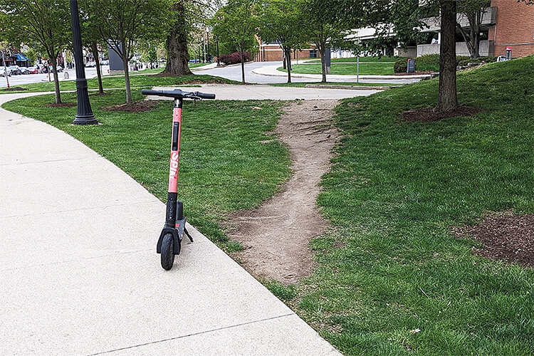 One of the paths at Ohio State University