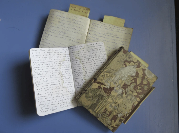 Some of Dervla’s travel notebooks