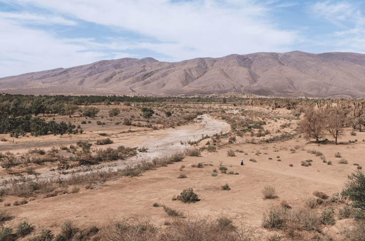 A woman walks near the bed of the Draa River, now devoid of water. The river, the longest in Morocco, originates from the Dadès and Imini rivers in the High Atlas Mountains and flows for 1,100 kilometres to the Sahara dunes, then continues towards the Atlantic near Cap Draa. Along its course, the Draa passes through mountains, palm groves and Berber villages, whose survival depends on water for agriculture.