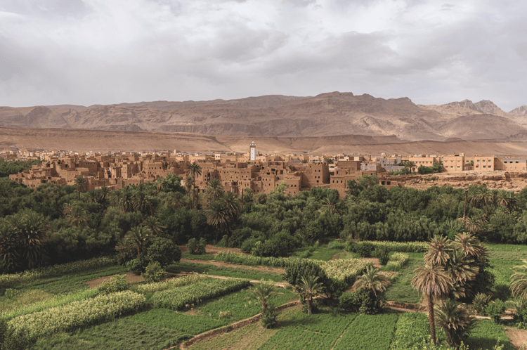 A panoramic view of the Tinerhir oasis, which stretches for about 30 kilometres along the Todra River. Located in southeastern Morocco, the oasis is known for its lush palm groves and ancient kasbahs made of mud bricks.