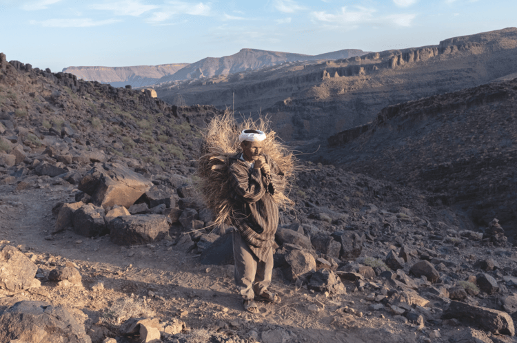 Zaid Oukhazaid, 56, a member of the Imazighen tribe, carries grass that he has collected to feed his livestock in Jbel Saghro, a mountain range that forms part of the Anti-Atlas. Recent drought has caused a drastic reduction in food availability for the tribe’s animals.