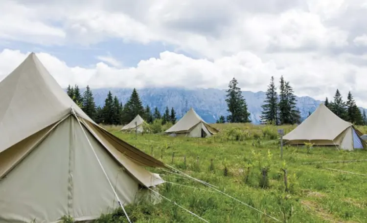 Poiana Tămaș Tented Camp
