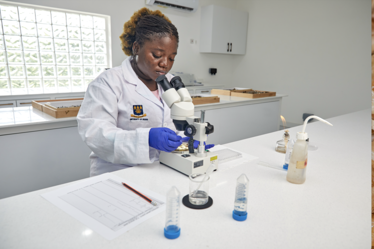 Is synthetic biology the way forward for a better planet?