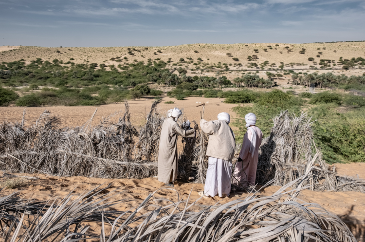 Is the Great Green Wall a mirage of hope?