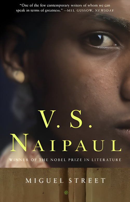 VS Naipaul book cover