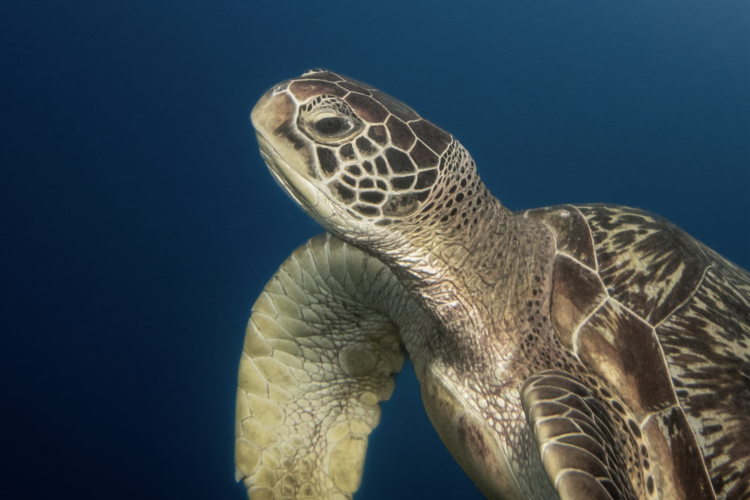 Out now: February 2026’s Geographical Magazine