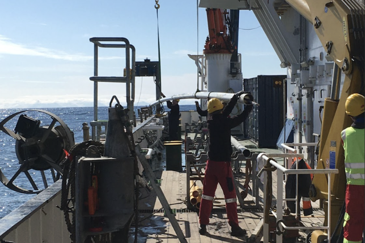 North Sea scampi fishing may carry a hidden climate cost